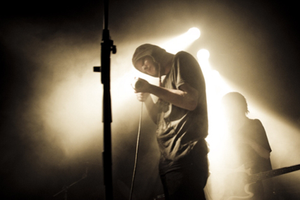 the wombats